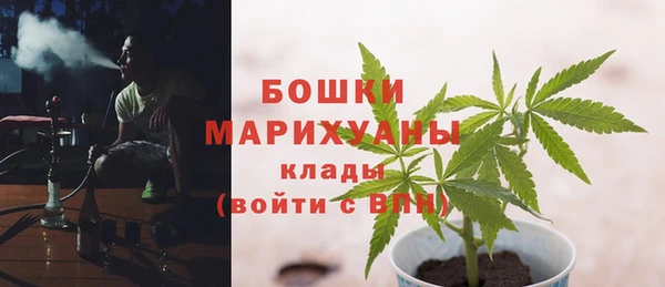 spice Бронницы