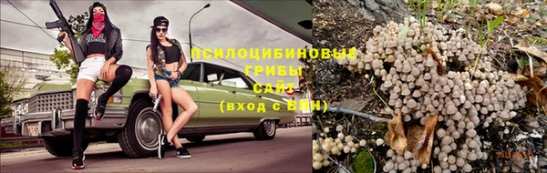 МДПВ Бугульма