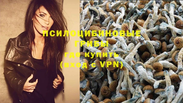 МДПВ Бугульма
