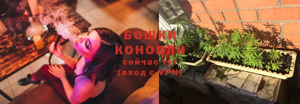 винт Бородино