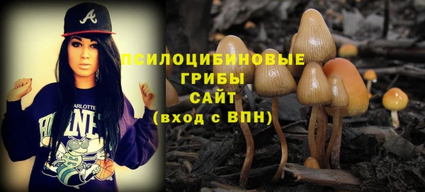 spice Бронницы